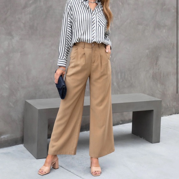 Vici- Winston High Waisted Pocketed Pants - Picture 3 of 6